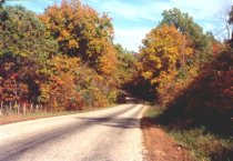 Ozarks road in the fall